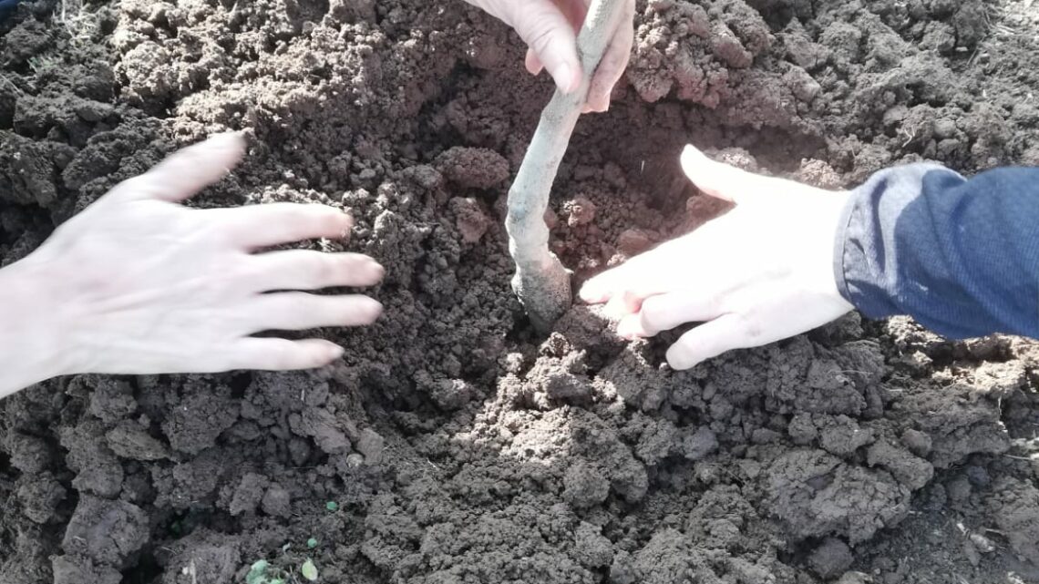 Uniti non si è mai soli